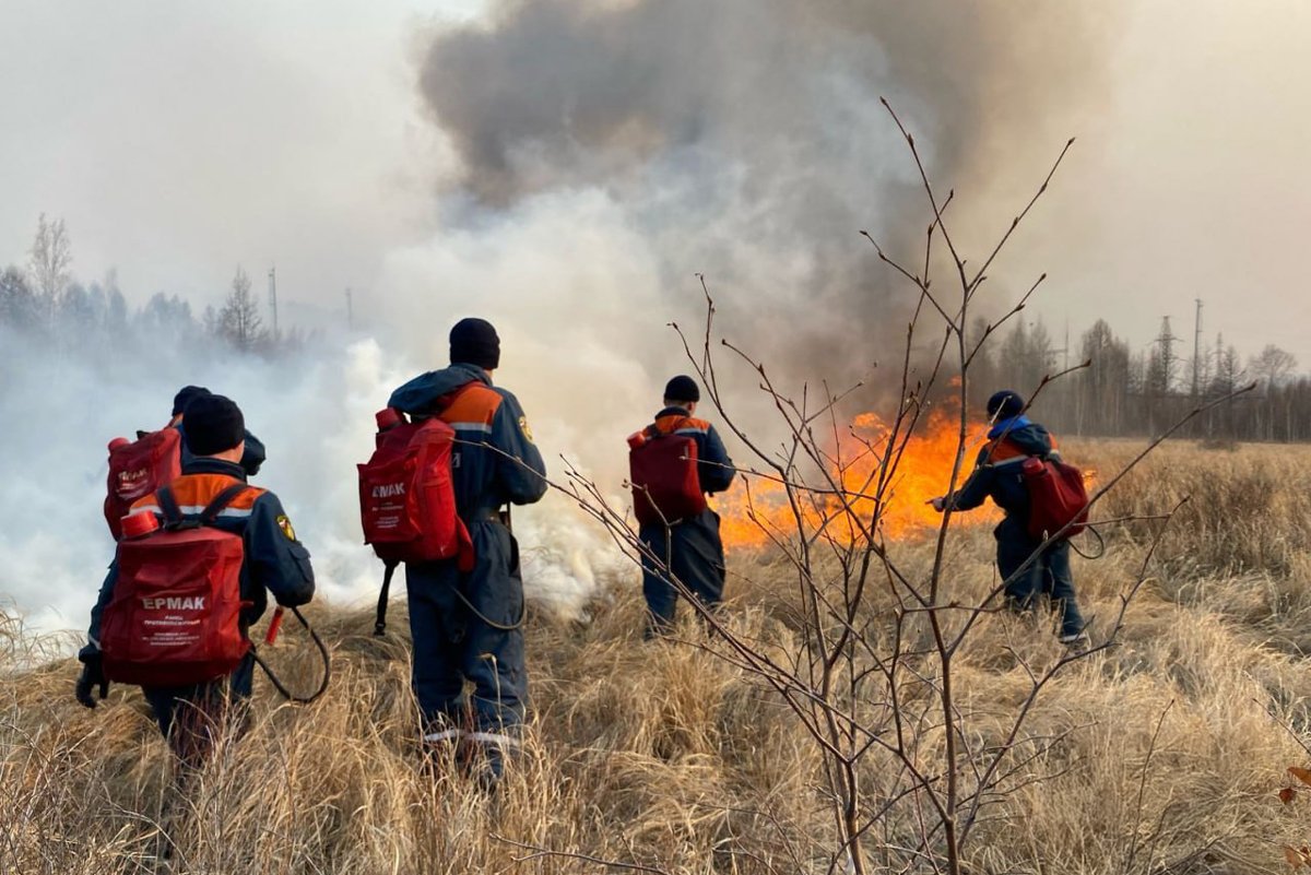 Фото:  МЧС Забайкальского края