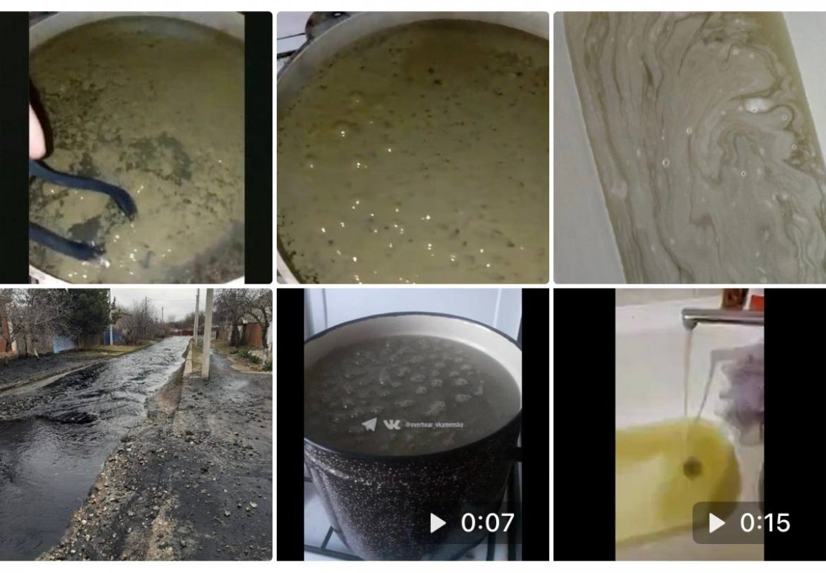 Фотографии жителей Каменск-Шахтинского. Фото: ВКонтакте