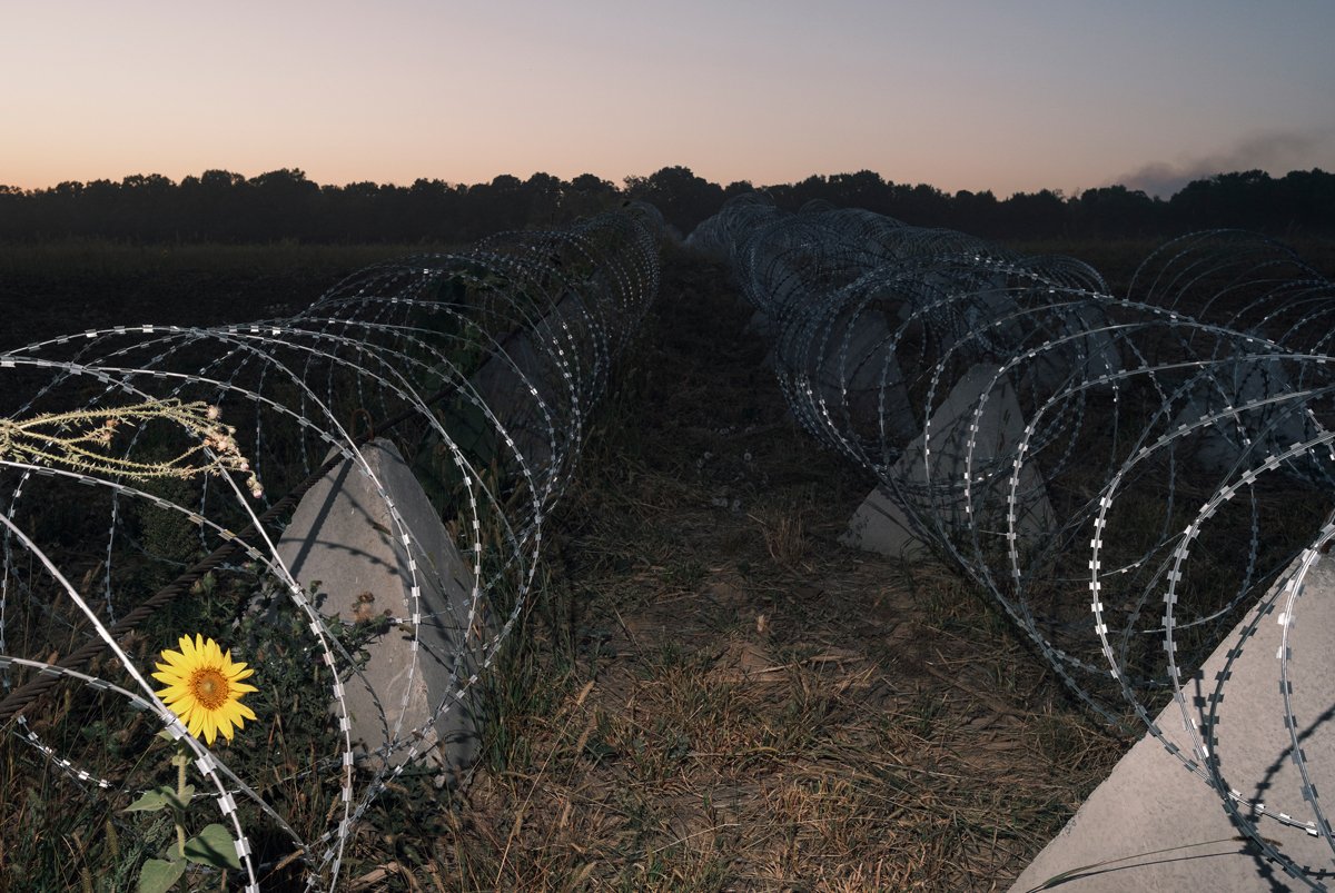Фортификационные сооружения возле границы с Россией в Сумской области, Украина, 17 августа 2024 года. Фото: George Ivanchenko / EPA