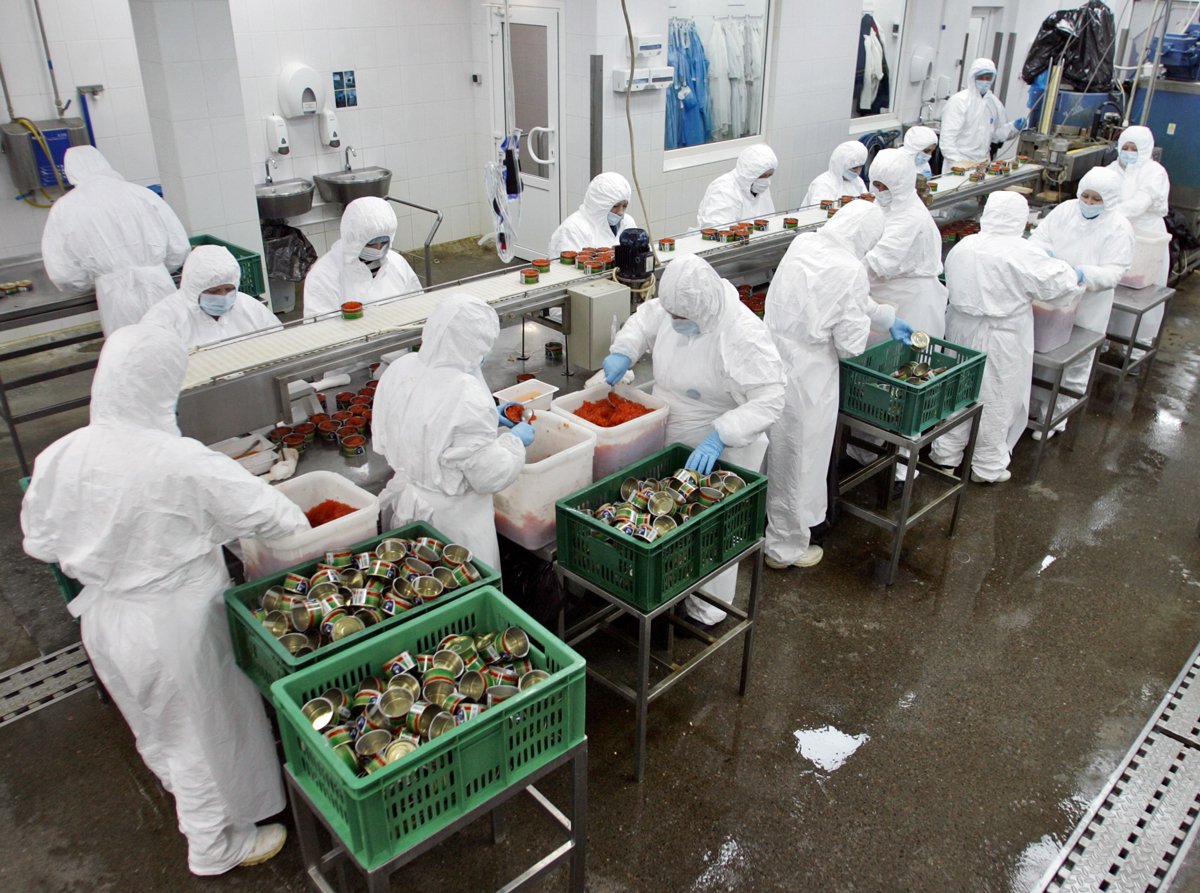 Рабочие на конвейере цеха по фасовке красной икры «Русского моря», Ногинск, Московская область, 22 января 2008 года. Фото: Дмитрий Лебедев / Коммерсантъ / Sipa USA / Vida Press