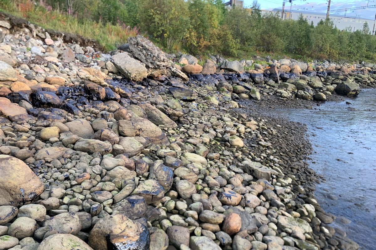 Фото: murmansk_dtp51 /  VK